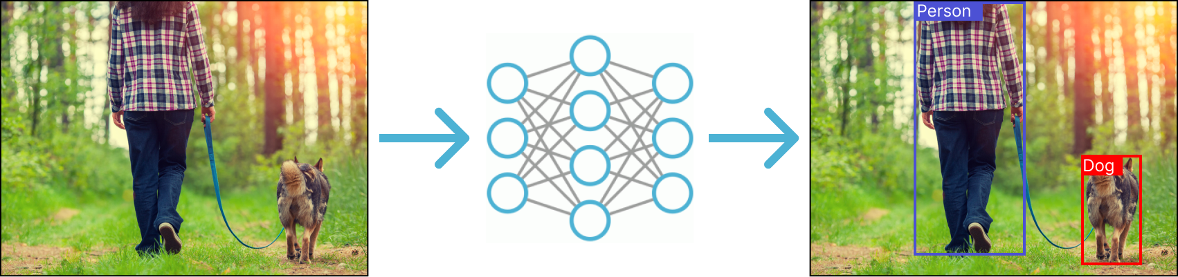 An image being inputted into a deep learning model which outputs the image with predicted bounding boxes