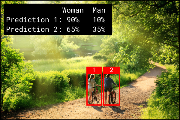 Two women walking on path in green meadow next to forest surrounded by bounding boxes and associated prediction probabilities